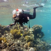 Anna fotografiert im Flachwasserbereich, September 2009