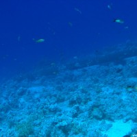 Wohl der Mast der Yolanda, der als erstes auftaucht wenn man aus östlicher Richtung vom Shark Reef kommt, Mai 2007