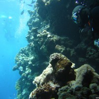 Joe kommt aus der Unterwasserhöhle, Mai 2007