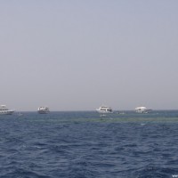 Viele Tauchboote am Shark & Yolanda Reef, Mai 2007