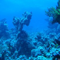 Blick über das Riff, Mai 2007
