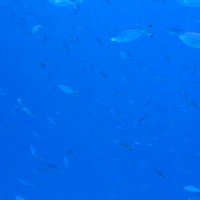 Blick ins Blauwasser, Mai 2007