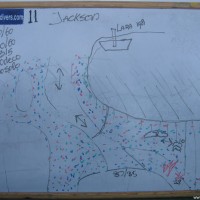 Tauchplatzkarte des Jackson Reefs, Mai 2007