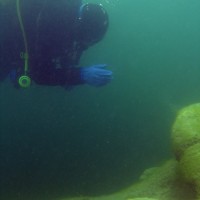 Beim Abtauchen oben an der Steilwand, August 2005