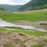 Blick von der Sperre Richtung Zulauf, August 2002