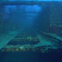 scubamedia.de Scuba d\'Azur - Impressionen schöner Tauchgänge am Bug der Togo im September 2015