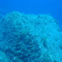 Alex mit seinem Rebreather, August 2005