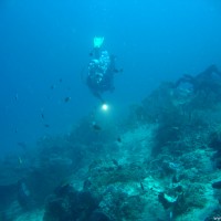 Blick über das Riff, September 2007