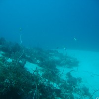 Übergang von der Riffwand zur Sandfläche auf ~20 Metern Tiefe, September 2007