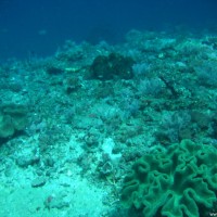 Hier trifft das kalte Wasser aus der Tiefe auf das warme Oberflächenwasser, Oktober 2007