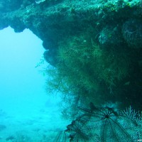 Leben am Wrack, September 2007